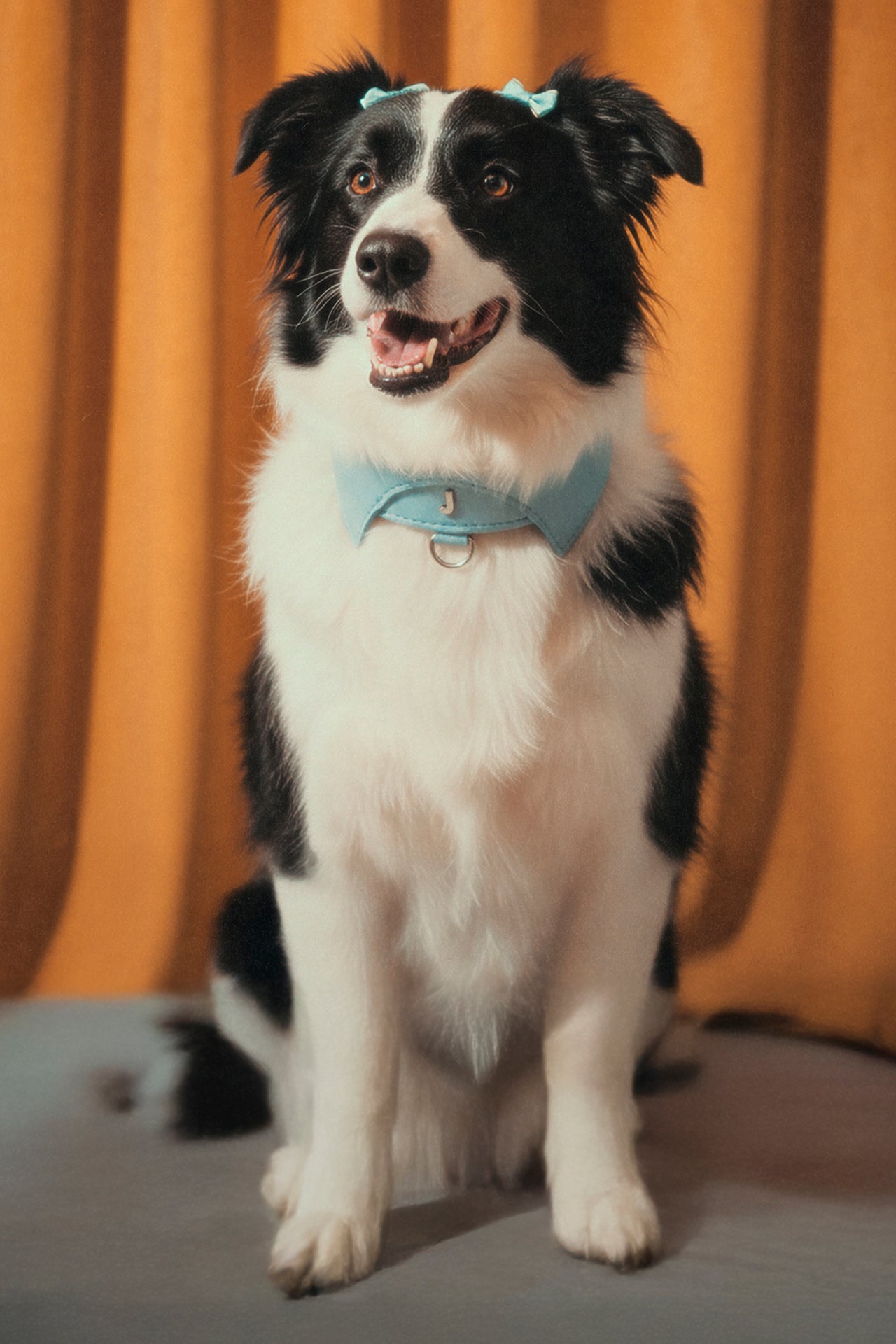 Baby blue Walk Set Large